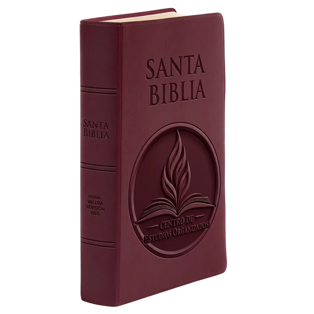 Biblia 1960